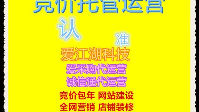 网络营销公司成功案例揭秘：揭秘行业分类与转化之道