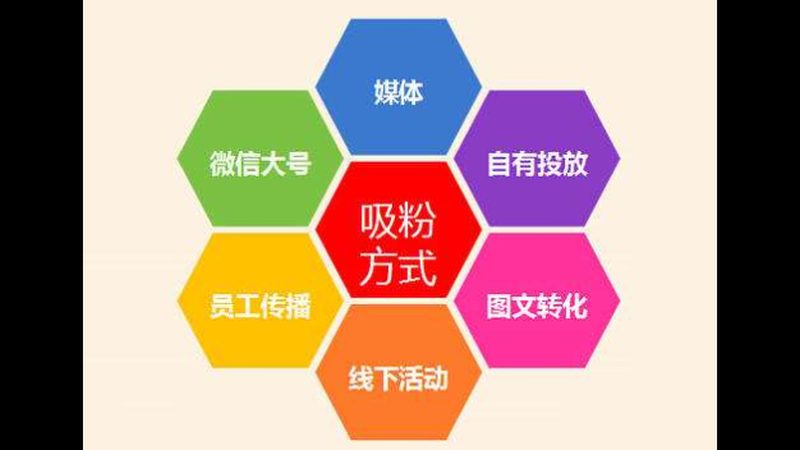 网络推广外包服务：揭秘代理加盟背后的关键要素