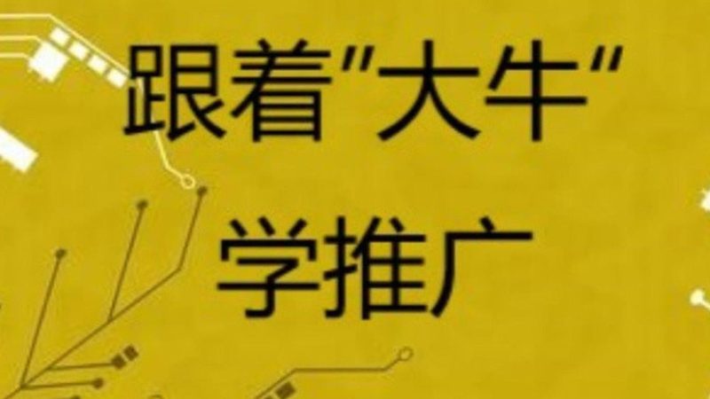 成都小红书推广：揭秘靠谱服务的核心要素